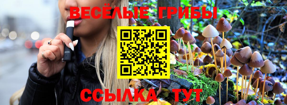 Псилоцибиновые грибы Magic Shrooms Александров